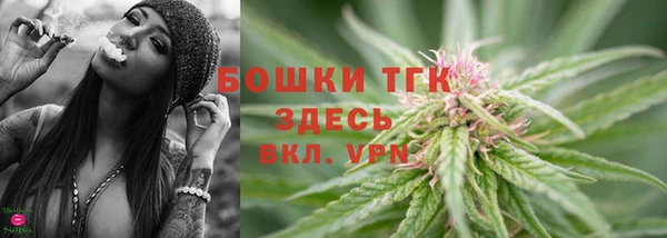 твердый Горно-Алтайск