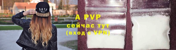 СК Горнозаводск
