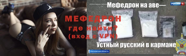сатива Туринск