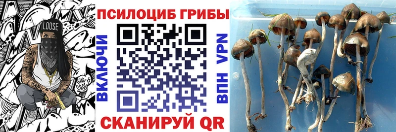 Галлюциногенные грибы ЛСД  МЕГА сайт  Далматово 